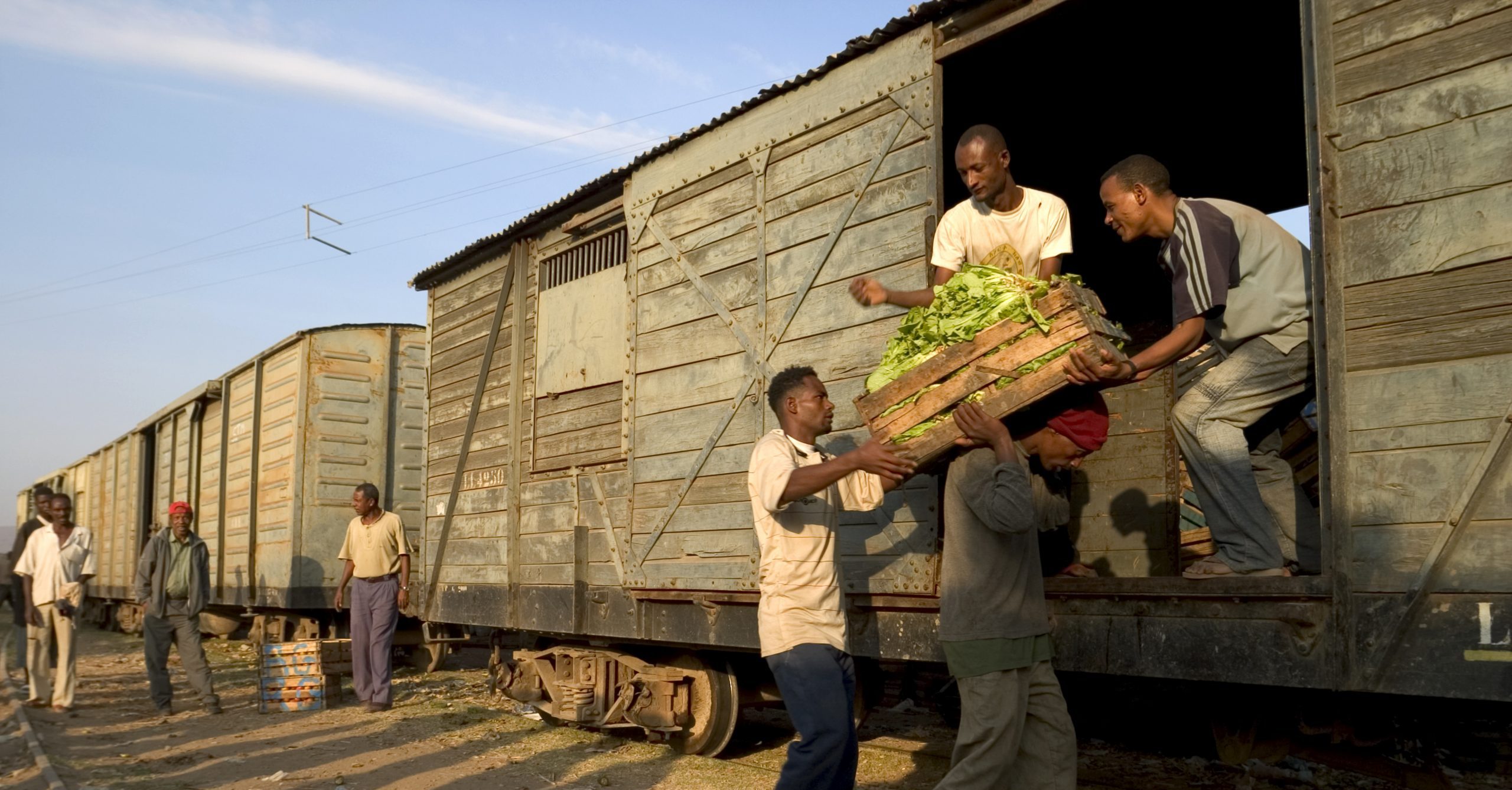 The Twenty-First Century agricultural cooperative: Increasing the business credibility of smallholders