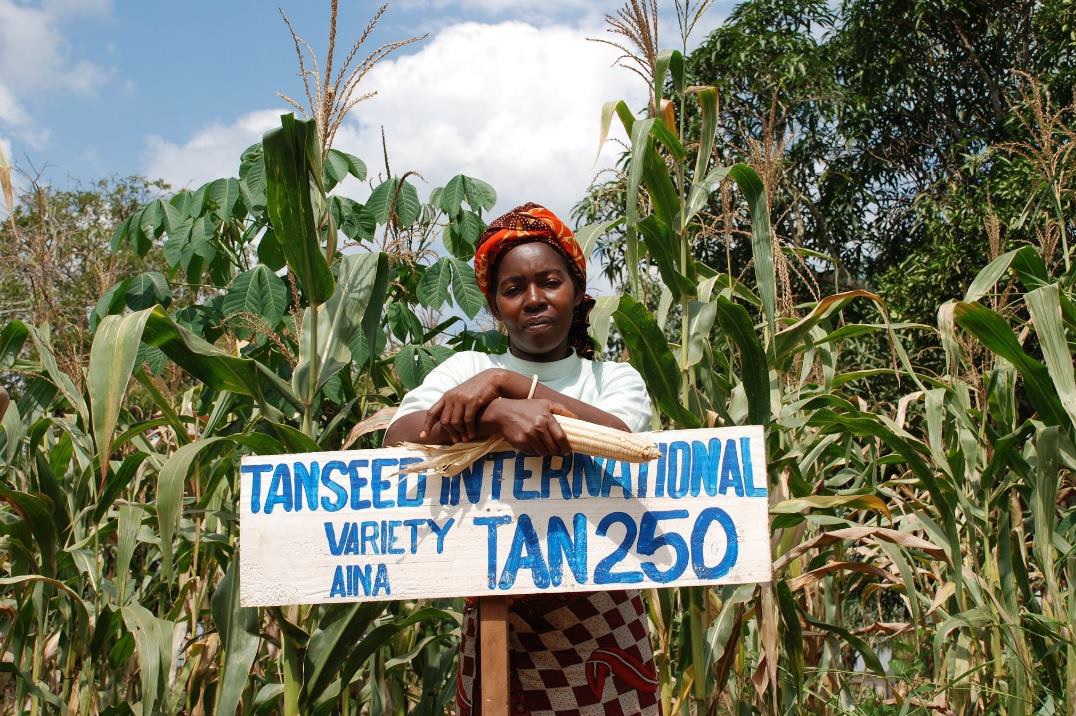 Selon les experts de la sécurité alimentaire, les discussions du G20 sur les investissements privés en Afrique doivent être principalement axées sur l’agriculture