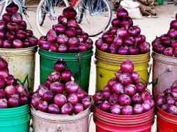 Food Quality in the Senegalese Onion Market