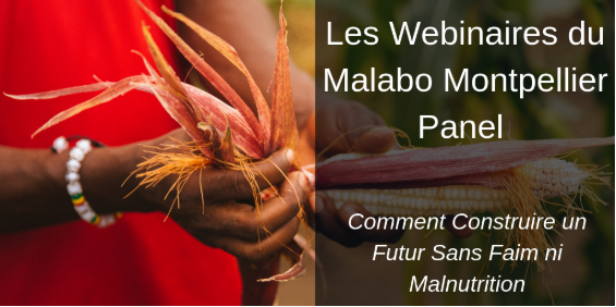 WEBINAIRE/SEMINAIRE- Comment le Sénégal a gagné la bataille contre la malnutrition?