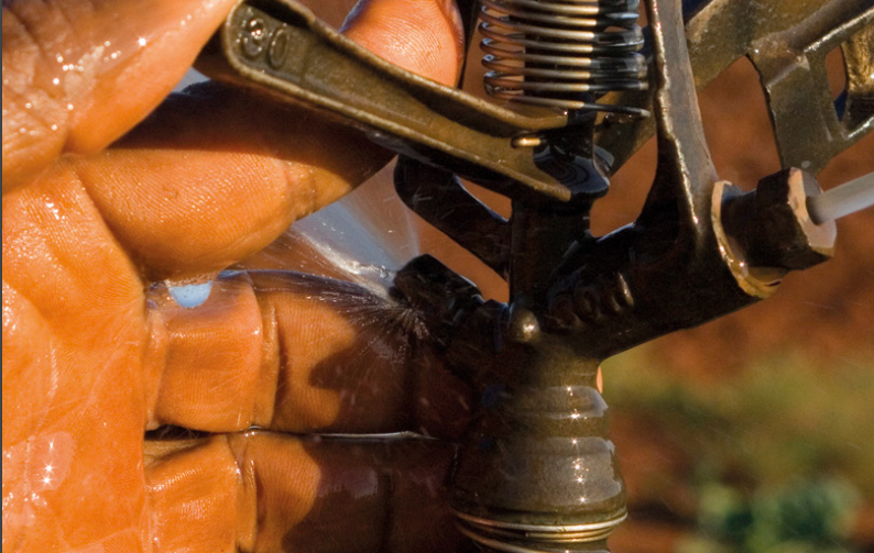 Irrigation the key to food security: report