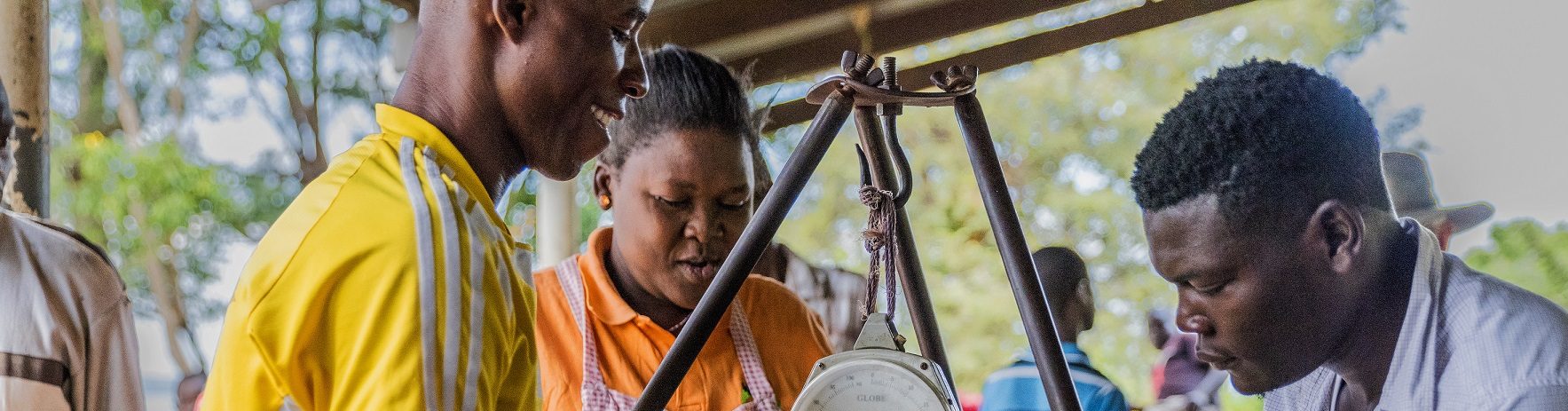 Mutual Accountability Can Respond to Global Agricultural Challenges…and More!