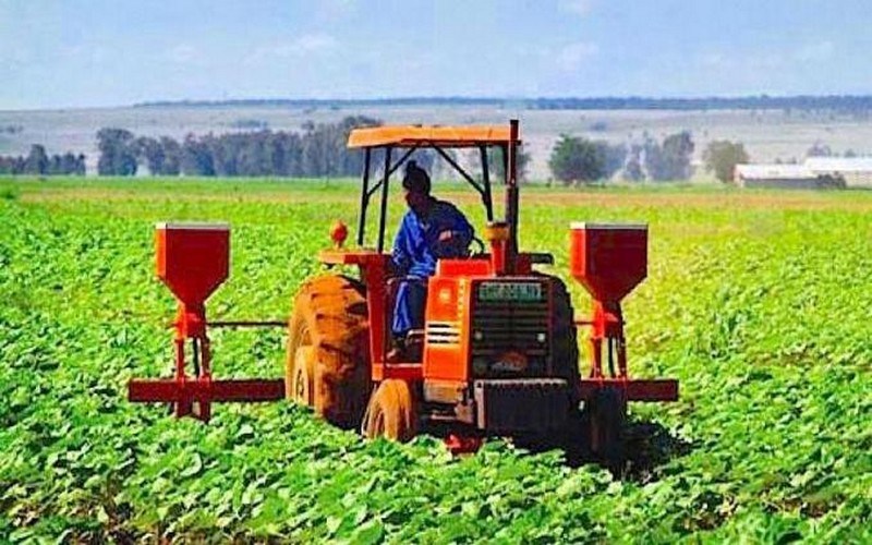 Innovations in African agriculture : Mechanizing Senegal’s rice value chain