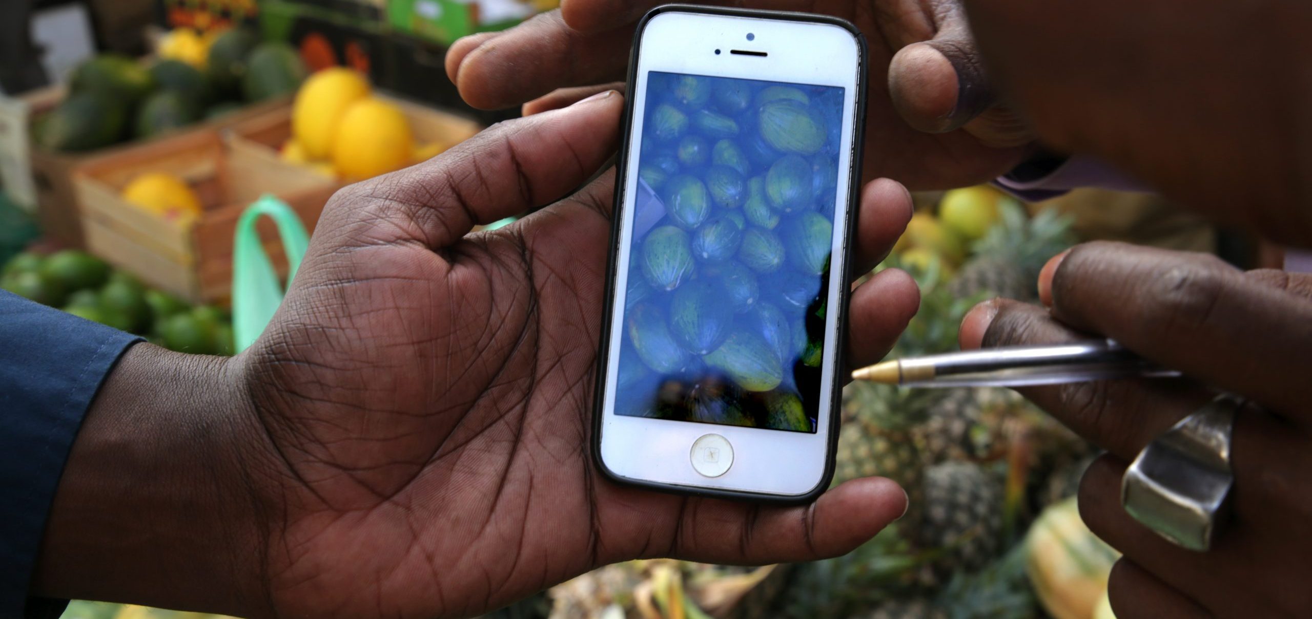 IFPRI WCAO welcomes Marnie Panattier, Program Manager at The Syngenta Foundation