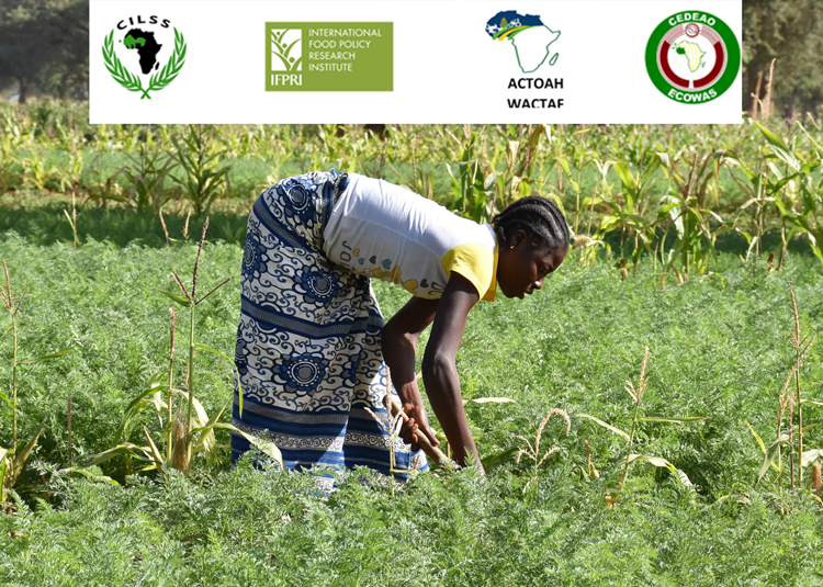 Communiqué de presse: Lancement du Projet d’Agriculture Familiale, Marchés Régionaux et Corridors Commerciaux Transfrontaliers (FARM-TRAC)