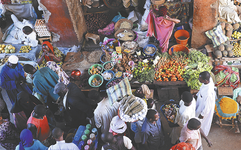 Food Systems, African Union Regional Processes, and CGIAR Engagement