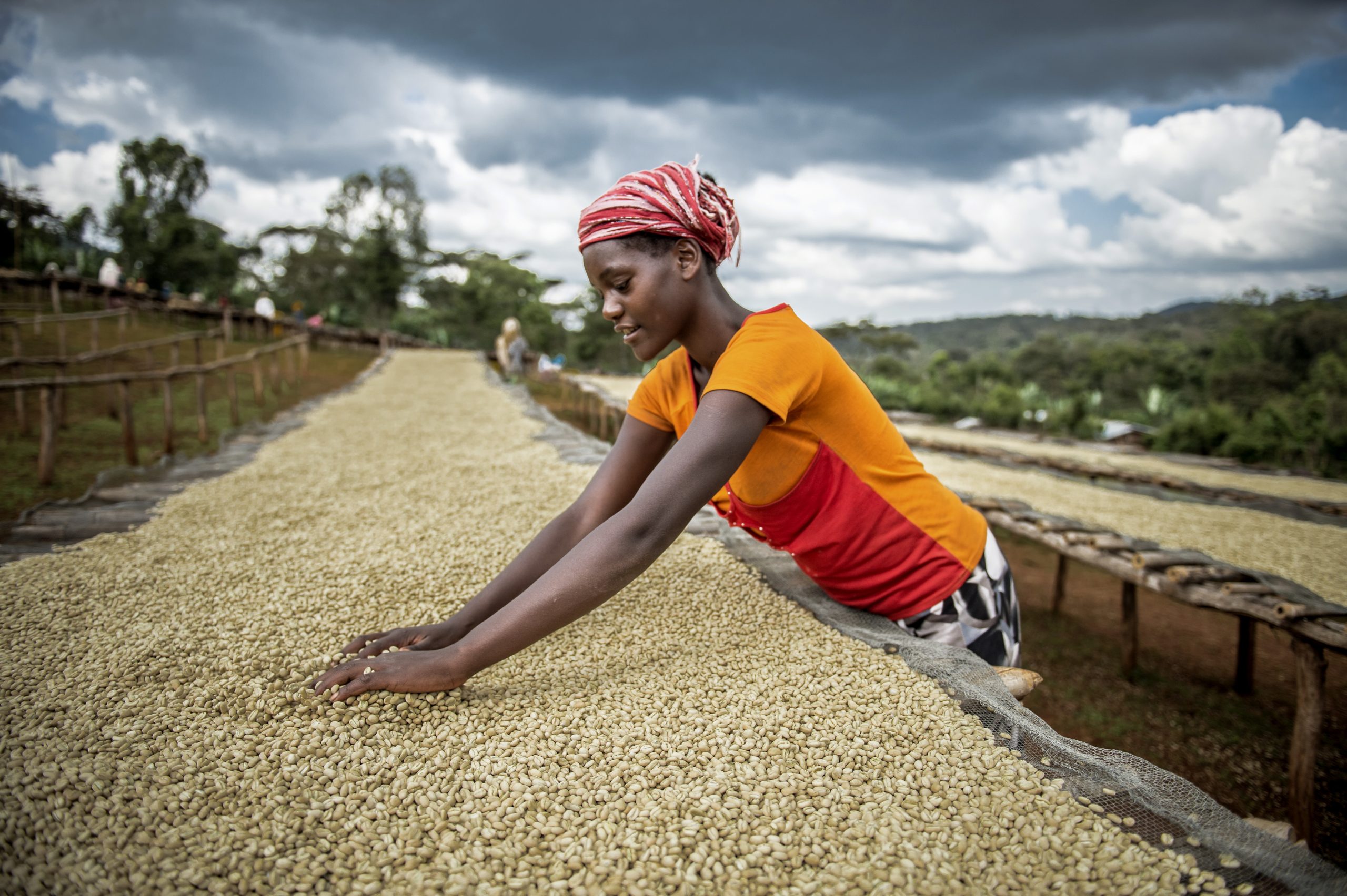 An inclusive future for small-holder farming in Africa