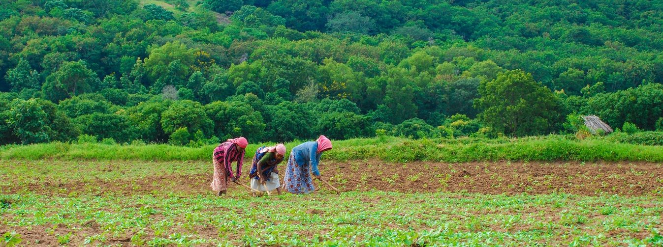 Event post: Building Gender Equitable Food Systems 