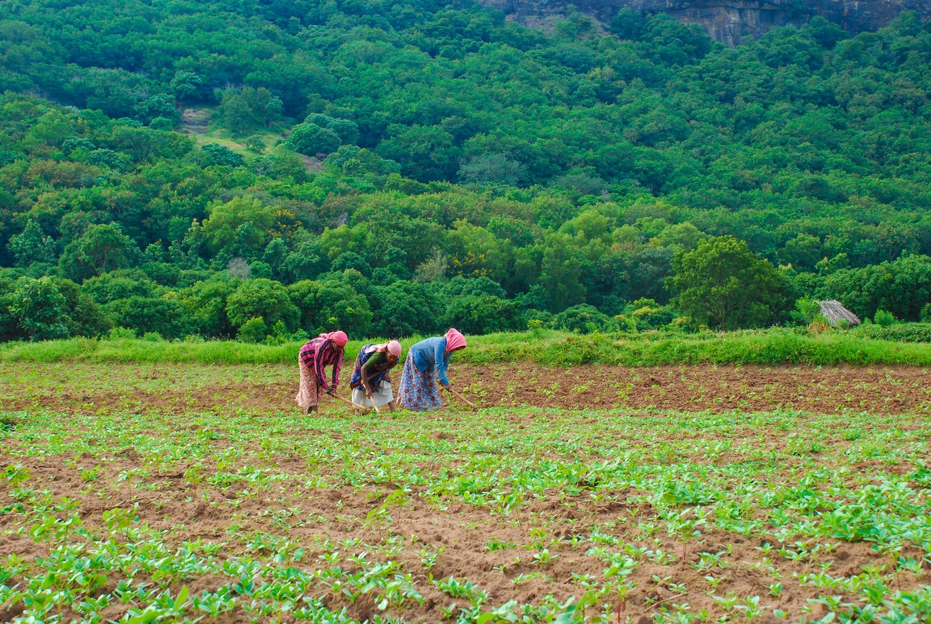 Event post: Building Gender Equitable Food Systems