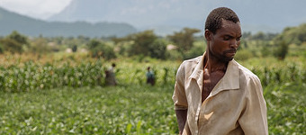Signature d’un protocole d’entente entre l’IFPRI et le PAM