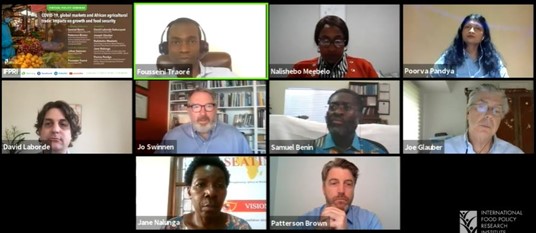 Séminaire de politique : Impacts de la COVID-19 sur le commerce agricole et la sécurité alimentaire en Afrique