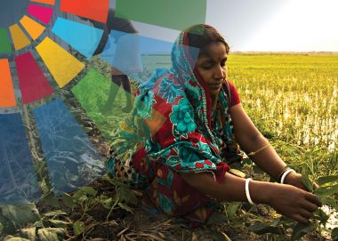 Gender equality, women’s empowerment, and food systems: Consensus and gaps in the literature