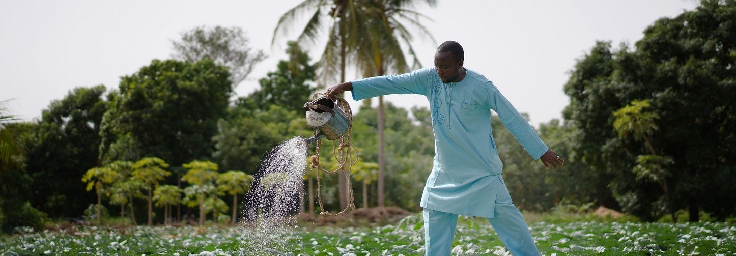 Transformer la nutrition en Afrique de l’Ouest – De nouvelles connaissances pour les politiques et actions du programme