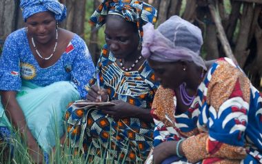 Organisations : données d’un projet de cartographie de la société civile au Mali