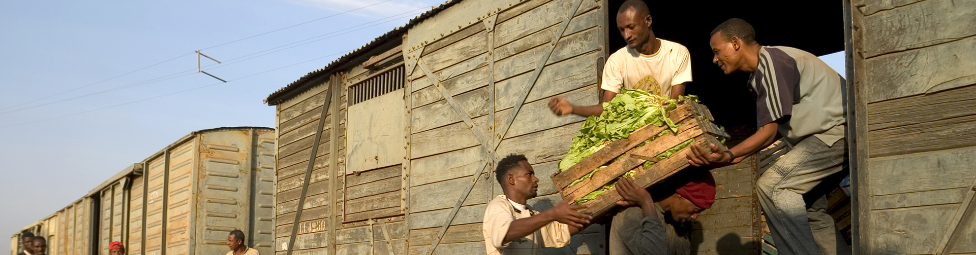 Commerce intra-africain et intégration économique