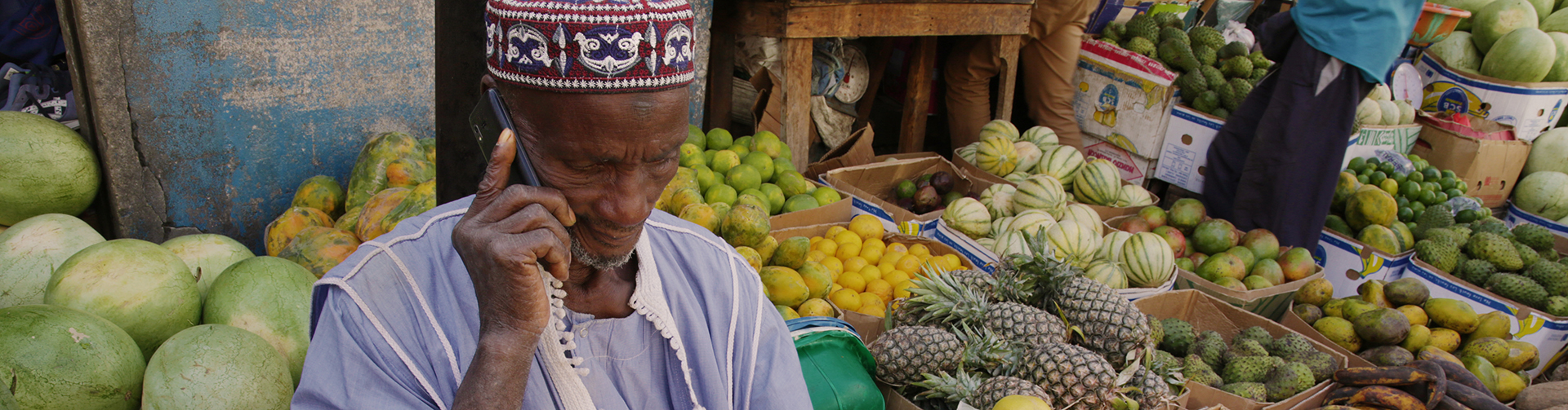 Strengthening capacities for food systems transformation