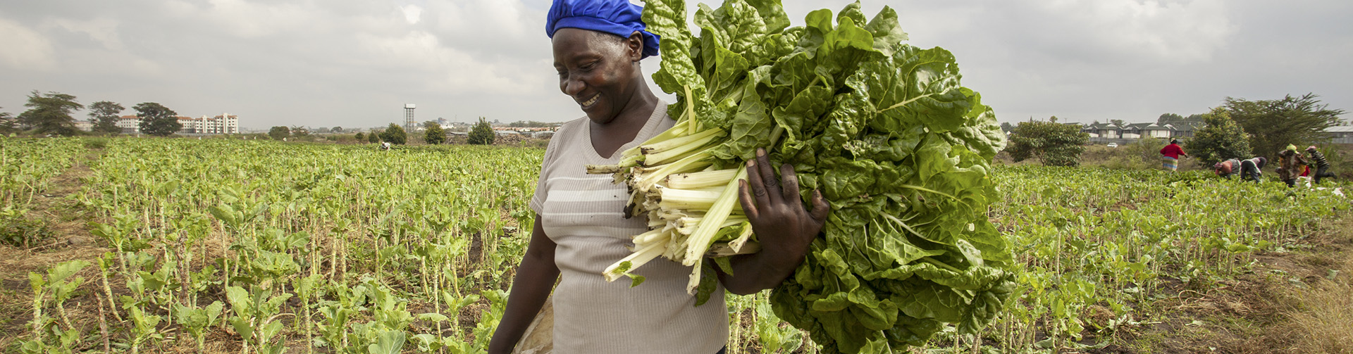 Equitable Livelihoods, Gender Equality and Aquatic Foods