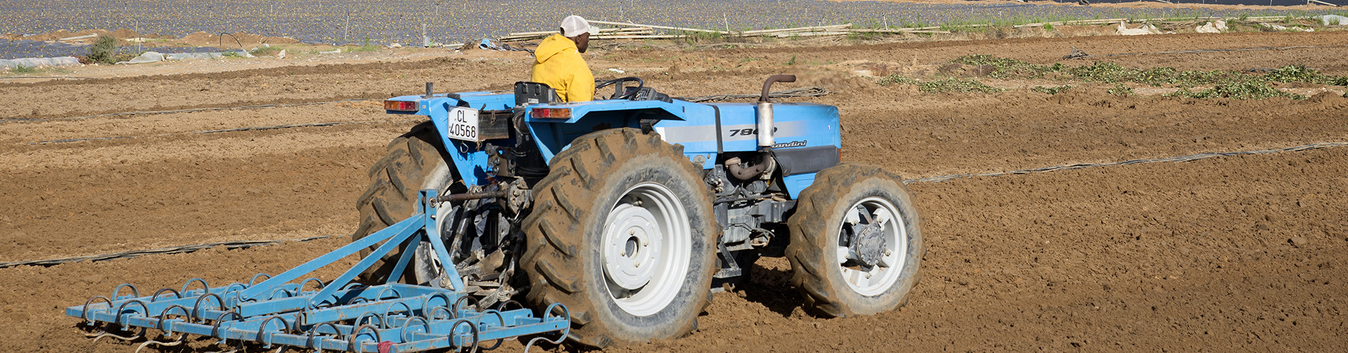 Catalyser l’agro-entrepreneuriat féminin et le commerce alimentaire en Afrique