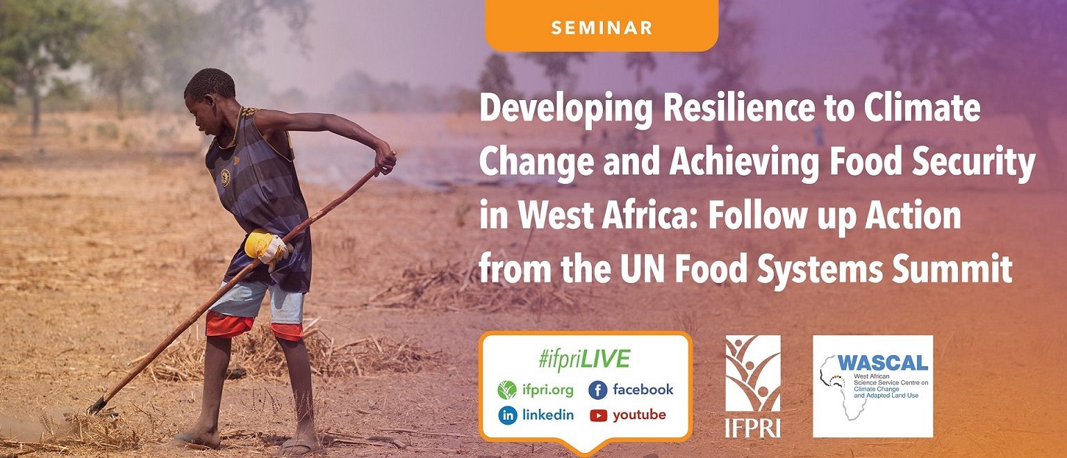Developing Resilience to Climate Change and Achieving Food Security in West Africa