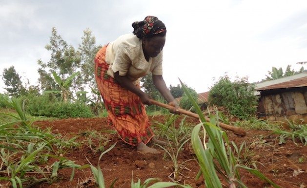Africa’s Farmers Deserve Choices