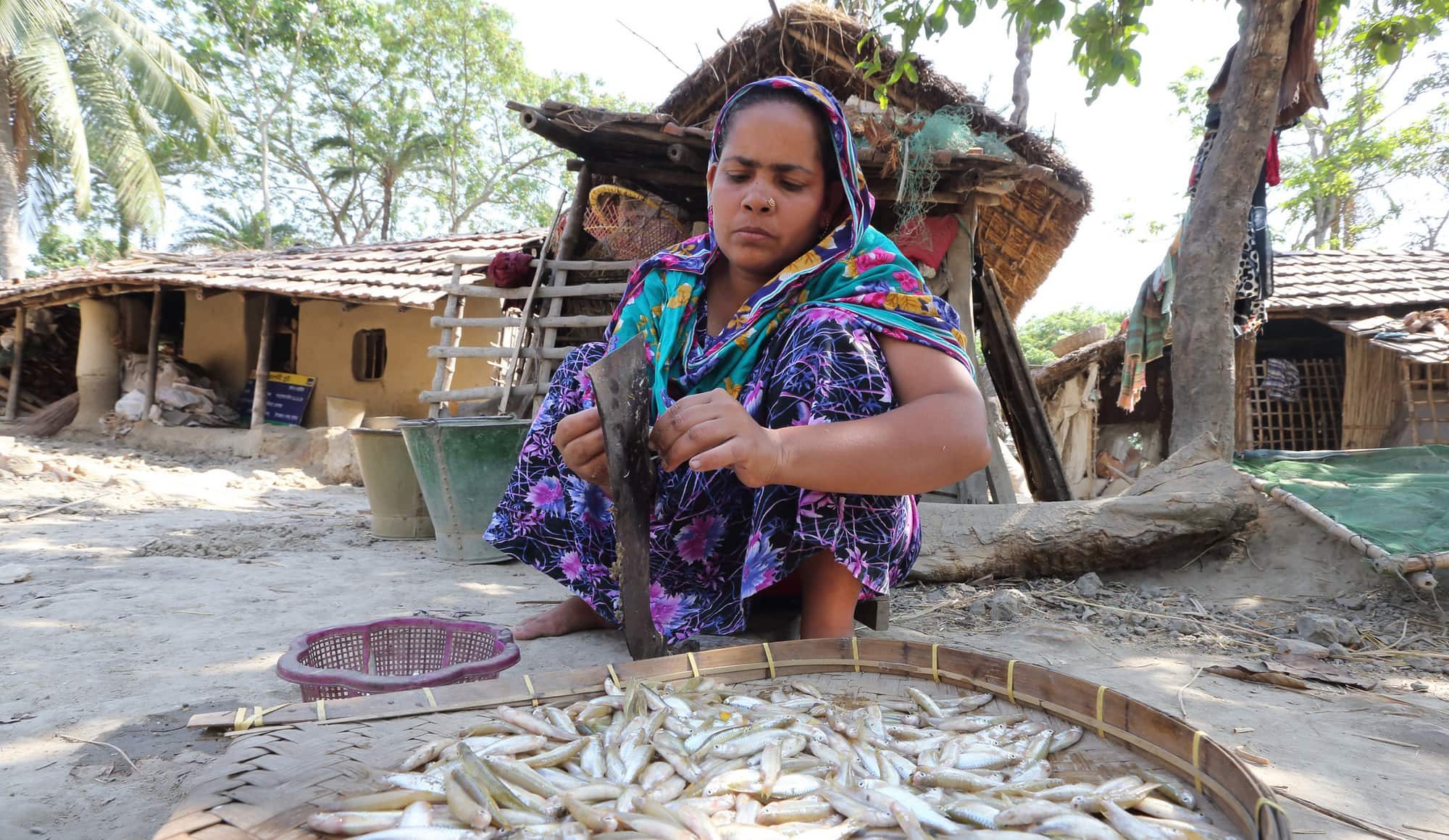Célébration du 50e anniversaire du CGIAR lors du Dialogue Borlaug 2021