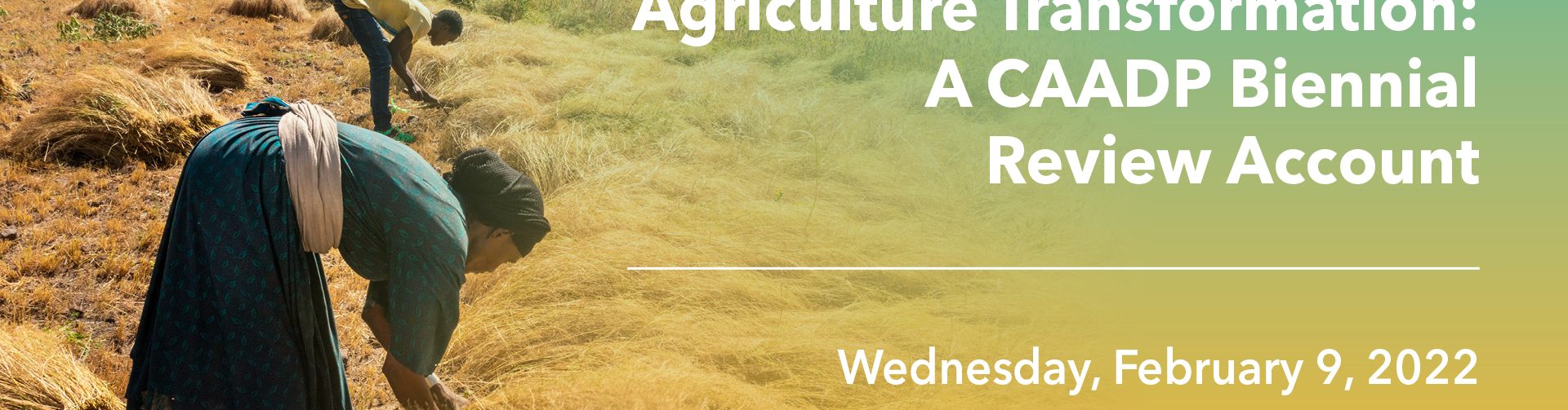 Seminar | Policy Drivers of Africa’s Agriculture Transformation: A CAADP Biennial Review Account