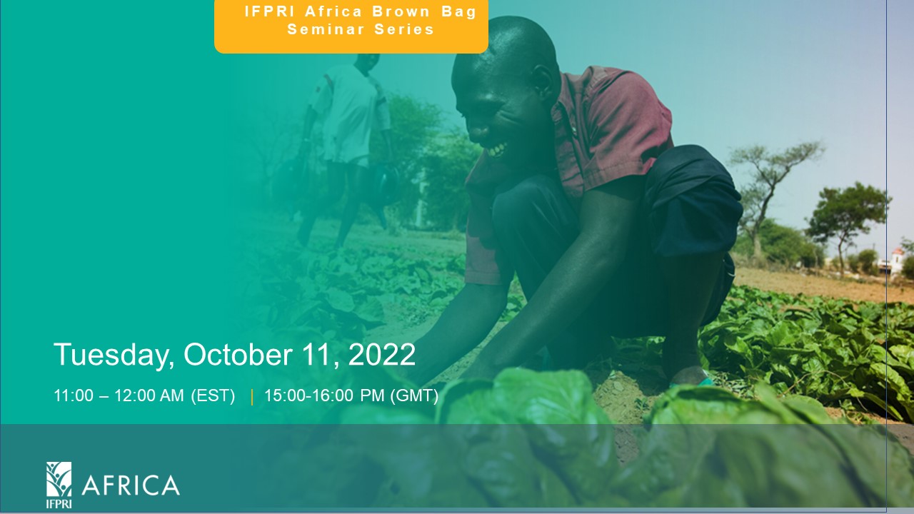 IFPRI Africa Brown Bag Seminar series: ‘’Mentoring Young African Policy Researchers: Lessons from IFPRI Approaches’’