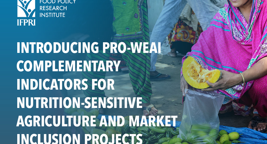 Introducing pro-WEAI complementary indicators for nutrition- sensitive agriculture and market inclusion projects