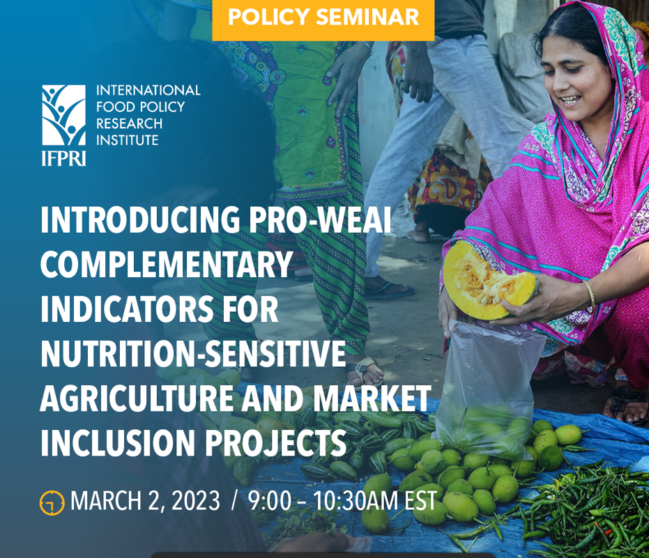Introducing pro-WEAI complementary indicators for nutrition- sensitive agriculture and market inclusion projects