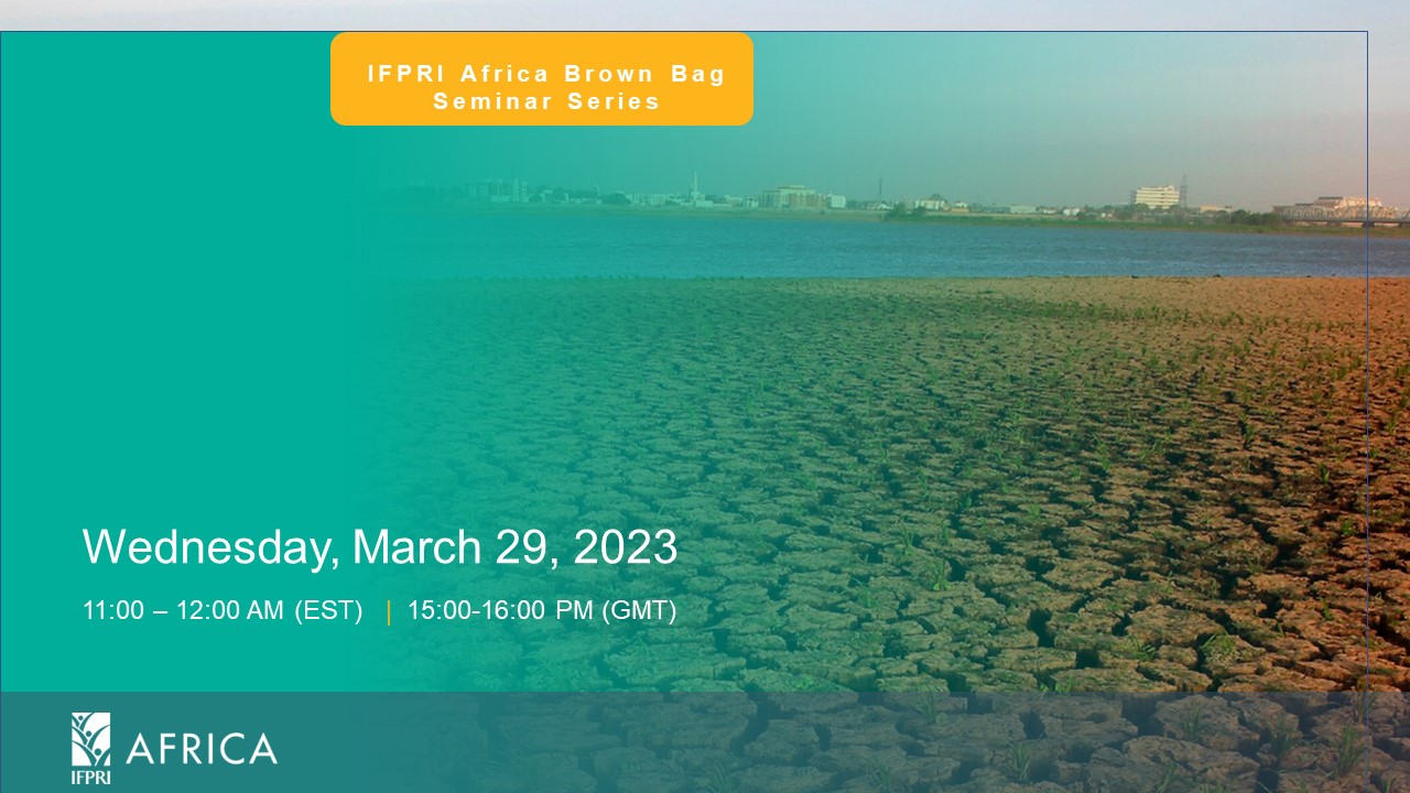 IFPRI Africa Brown Bag Seminar series: ‘’Institutional Capacity for Climate Action: Missing Dimensions, Integrated Approaches, and Selected Lessons’’