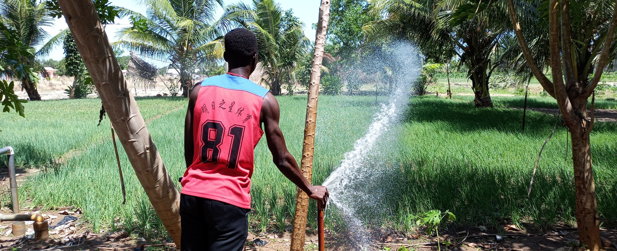 Toward more intensive, sustainable, and equitable groundwater management in the White Volta basin of Ghana