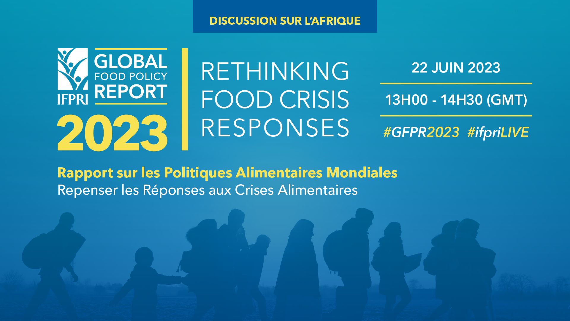 Discussion sur l’Afrique du Rapport sur les Politiques Alimentaires Mondiales: Repenser les Réponses aux Crises Alimentaires