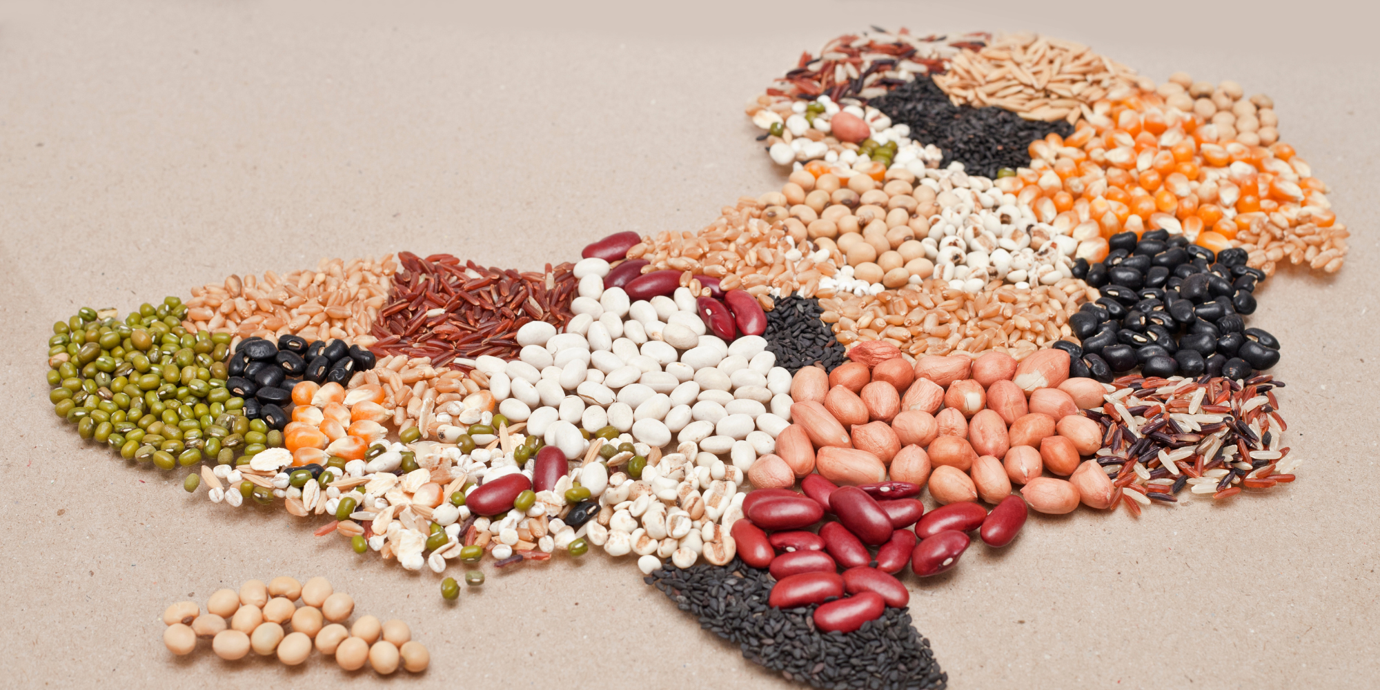 L’ÉTHIOPIE EST-ELLE ENTRAIN DE PASSER A COTE D’UNE OPPORTUNITE EN OR DE REMEDIER AU PHENOMENE DE LA FAIM INAPPARENTE? OPPORTUNITÉS ET DÉFIS DE LA BIOFORTIFICATION