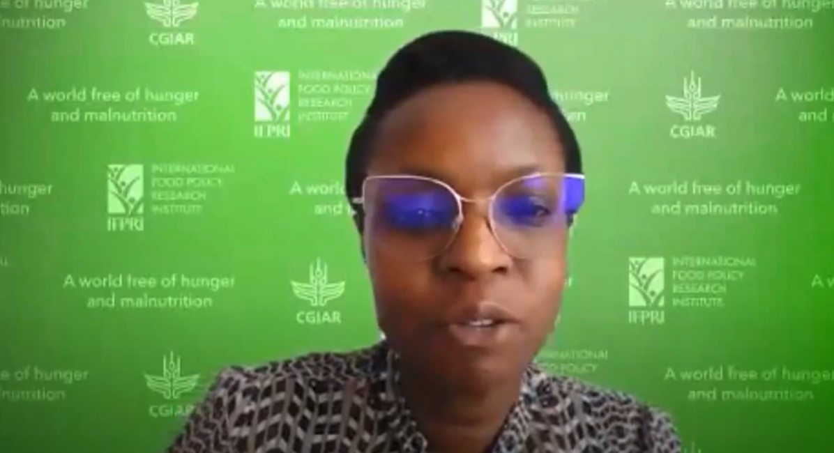 VIRTUAL RESEARCH SEMINAR Nutrition-Sensitive Irrigation in Mali