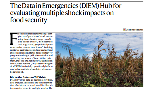 The Data in Emergencies (DIEM) Hub for  evaluating multiple shock impacts on  food security