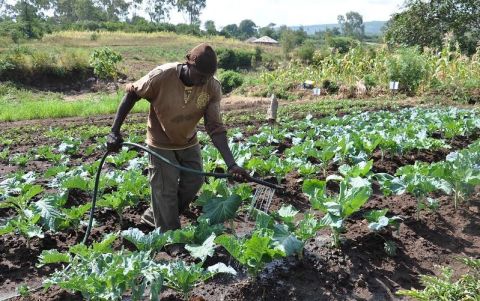 Climate Risk to Resilience: Financing adaptation in African countries