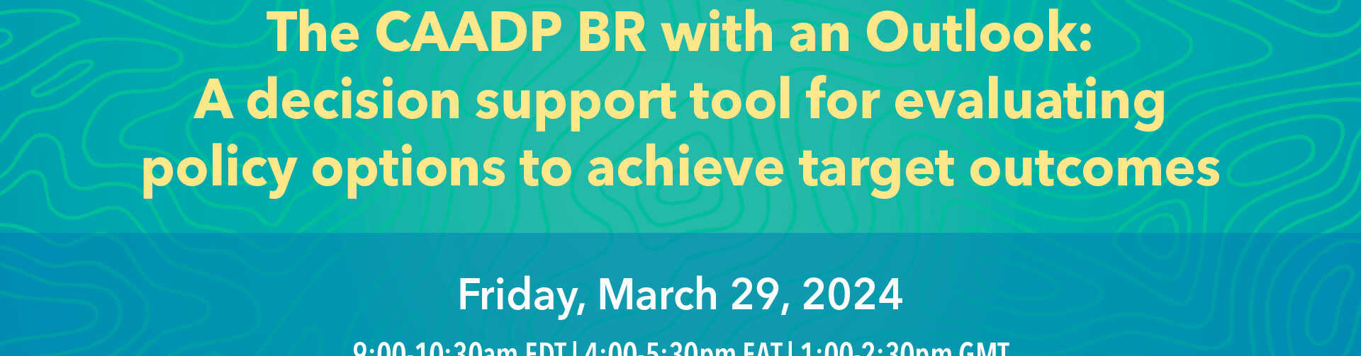 The CAADP BR with an Outlook: A decision support tool for evaluating policy options to achieve target outcomes