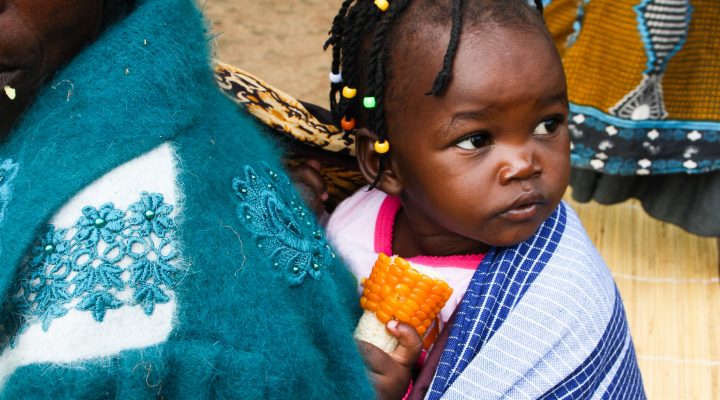 Appel à candidatures: partenaires locaux du GCAN au sénégal (date limite de dépôt des candidatures le 29 juillet)