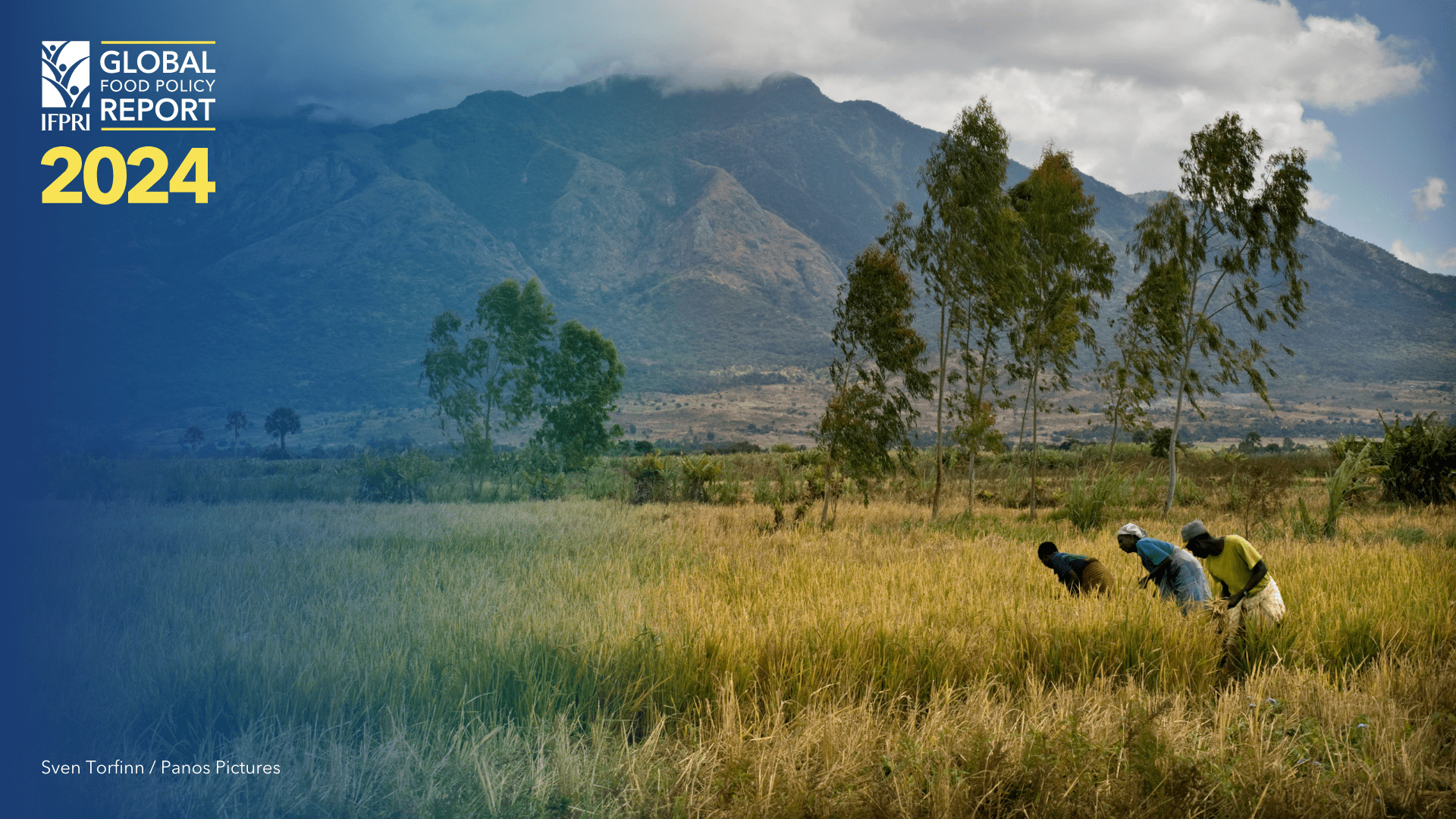 2024 Global Food Policy Report: Improving Diets and Nutrition through Food Systems: What Will it Take?