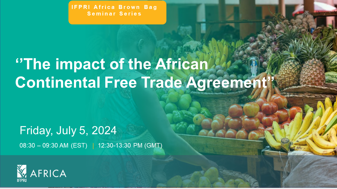 Brown Bag Seminar series on ‘’The impact of the African Continental Free Trade Agreement’’