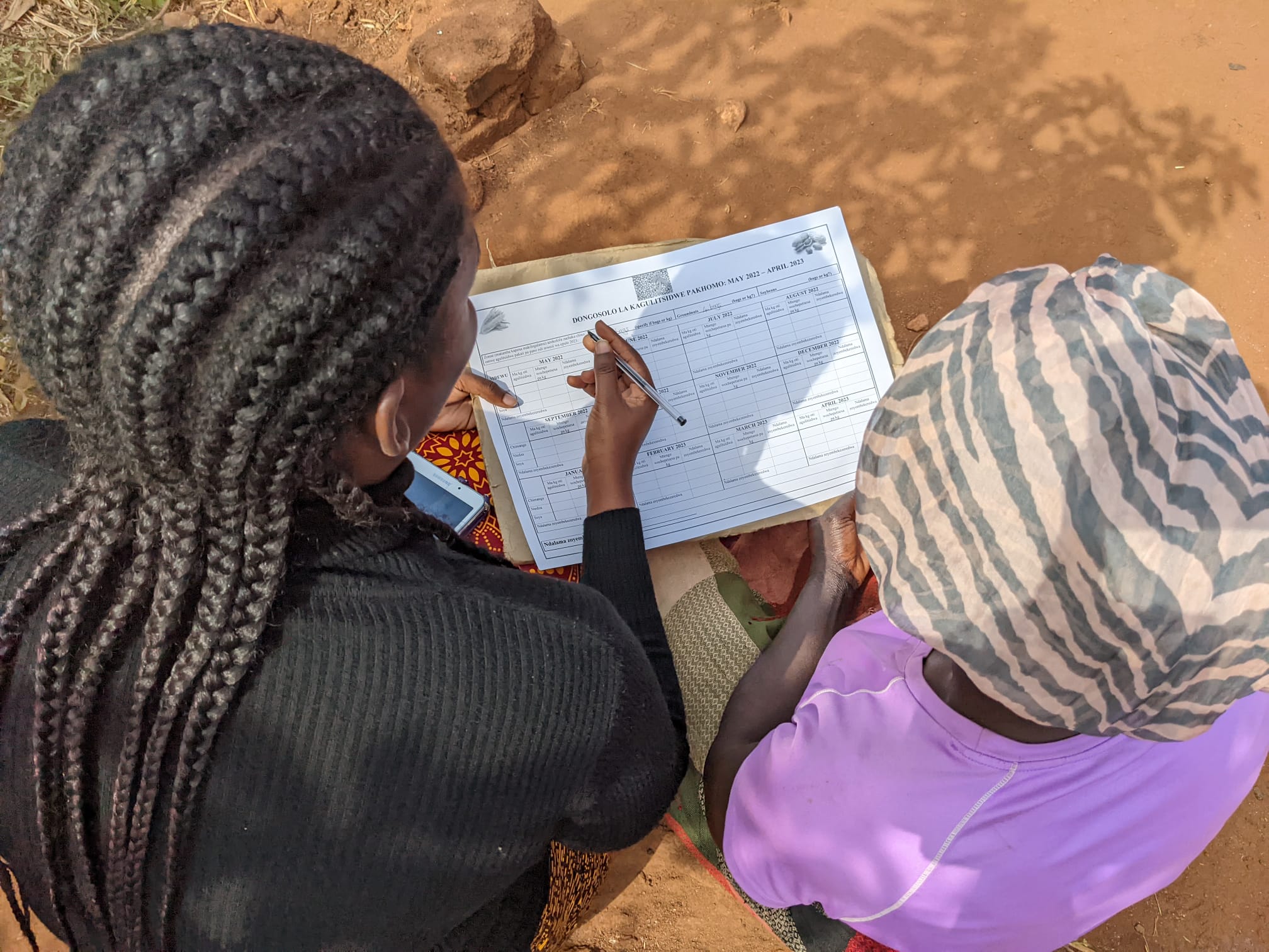 Behavioral explanations for the sell-low-buy-high puzzle in smallholder market participation