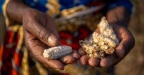 Tale of two villages: In Malawi, farmers point the way as drought drives hunger