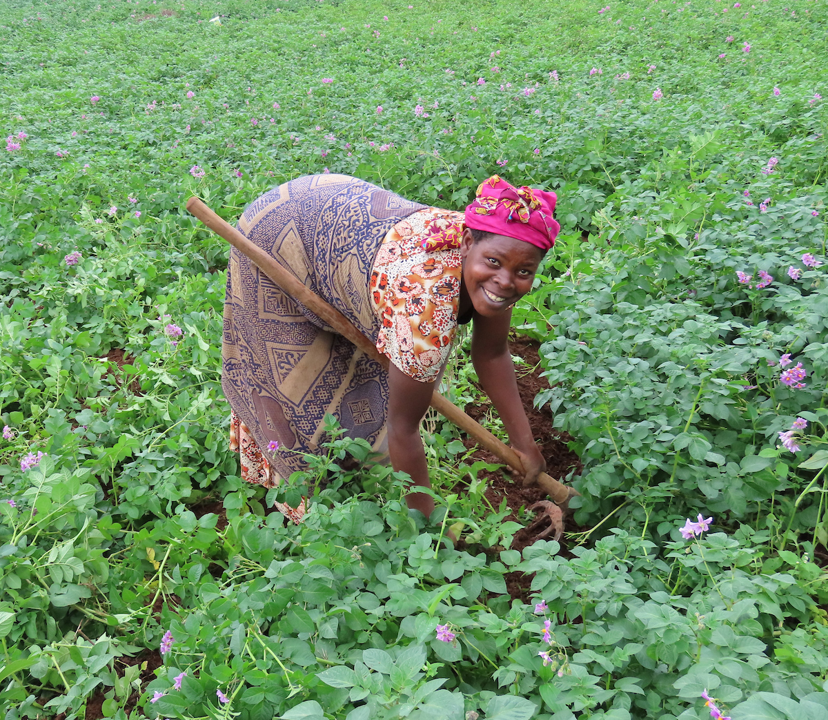 Cours d’apprentissage à distance Pro-WEAI