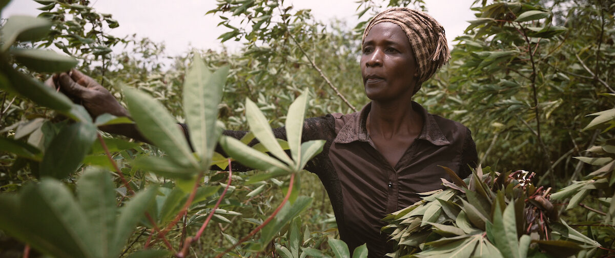 AFSF Summit 2024: Advancing gender equality and nutrition for sustainable agriculture