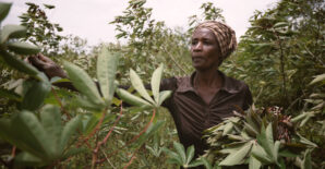 AFSF Summit 2024: Advancing gender equality and nutrition for sustainable agriculture