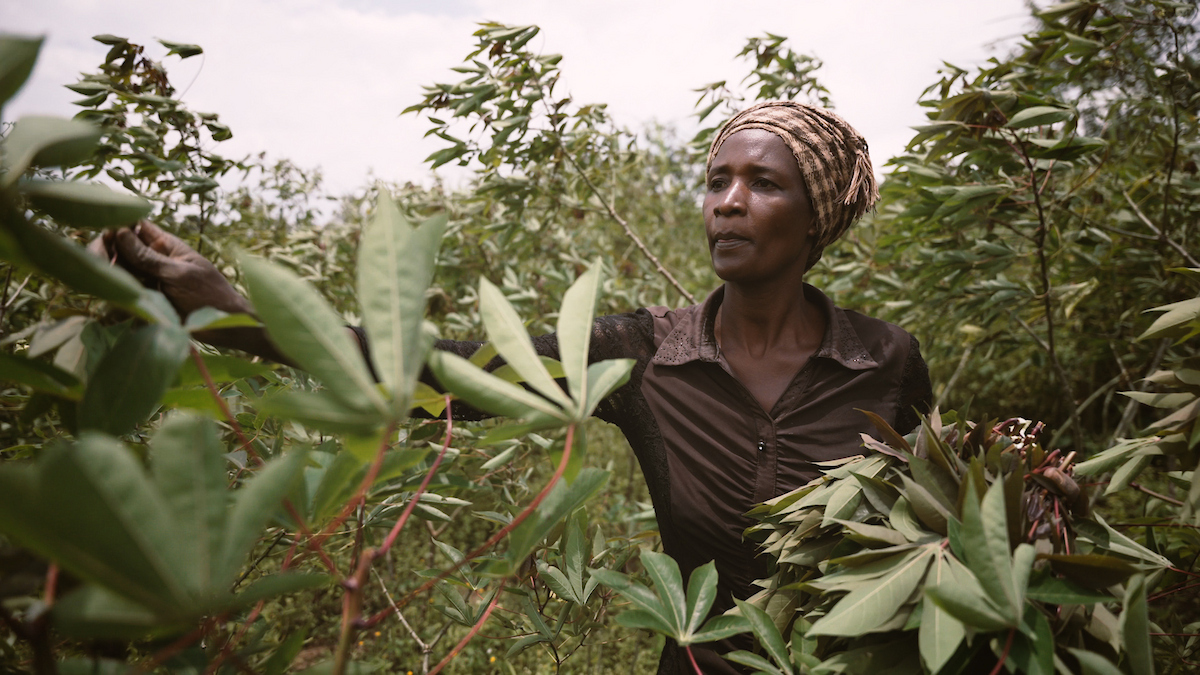 AFSF Summit 2024: Advancing gender equality and nutrition for sustainable agriculture