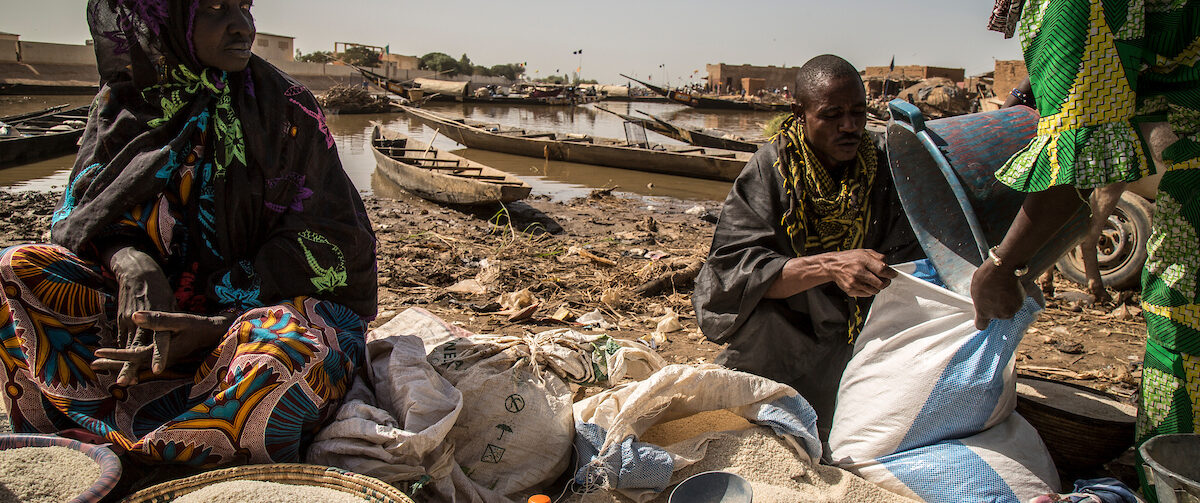 How did households in Mali cope with covariate shocks between 2018 and 2023? Exploration of a unique dataset