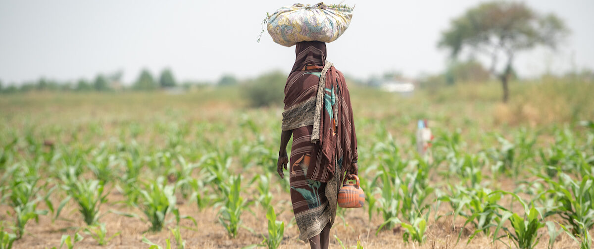 How did households in Chad cope with covariate shocks between 2018 and 2023?