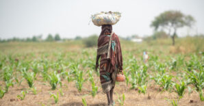 Comment les ménages ont-ils géré les chocs covariants au Tchad entre 2018 et 2023 ?