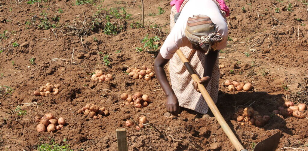 Tracking soil health managers in Uganda